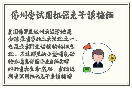 日本动漫扑克牌动画片免费观看视频